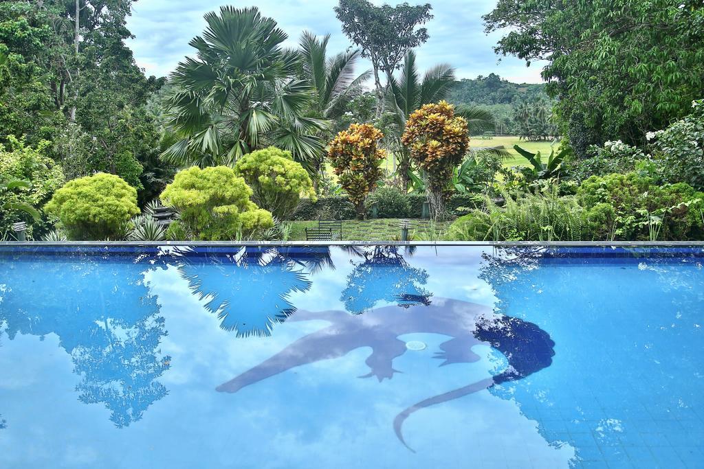 Lazy Lizard Hotel גאלה מראה חיצוני תמונה