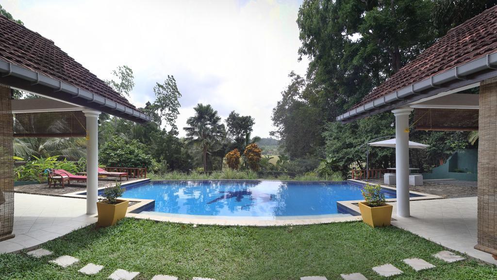 Lazy Lizard Hotel גאלה מראה חיצוני תמונה